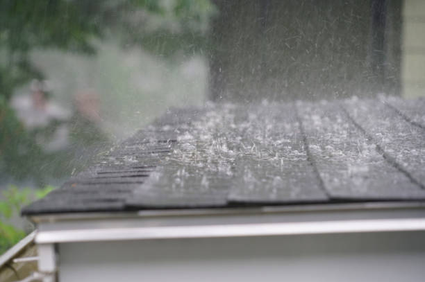 Best Sheet Metal Roofing  in Orland, CA