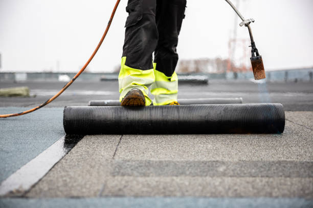 Best Roof Moss and Algae Removal  in Orland, CA